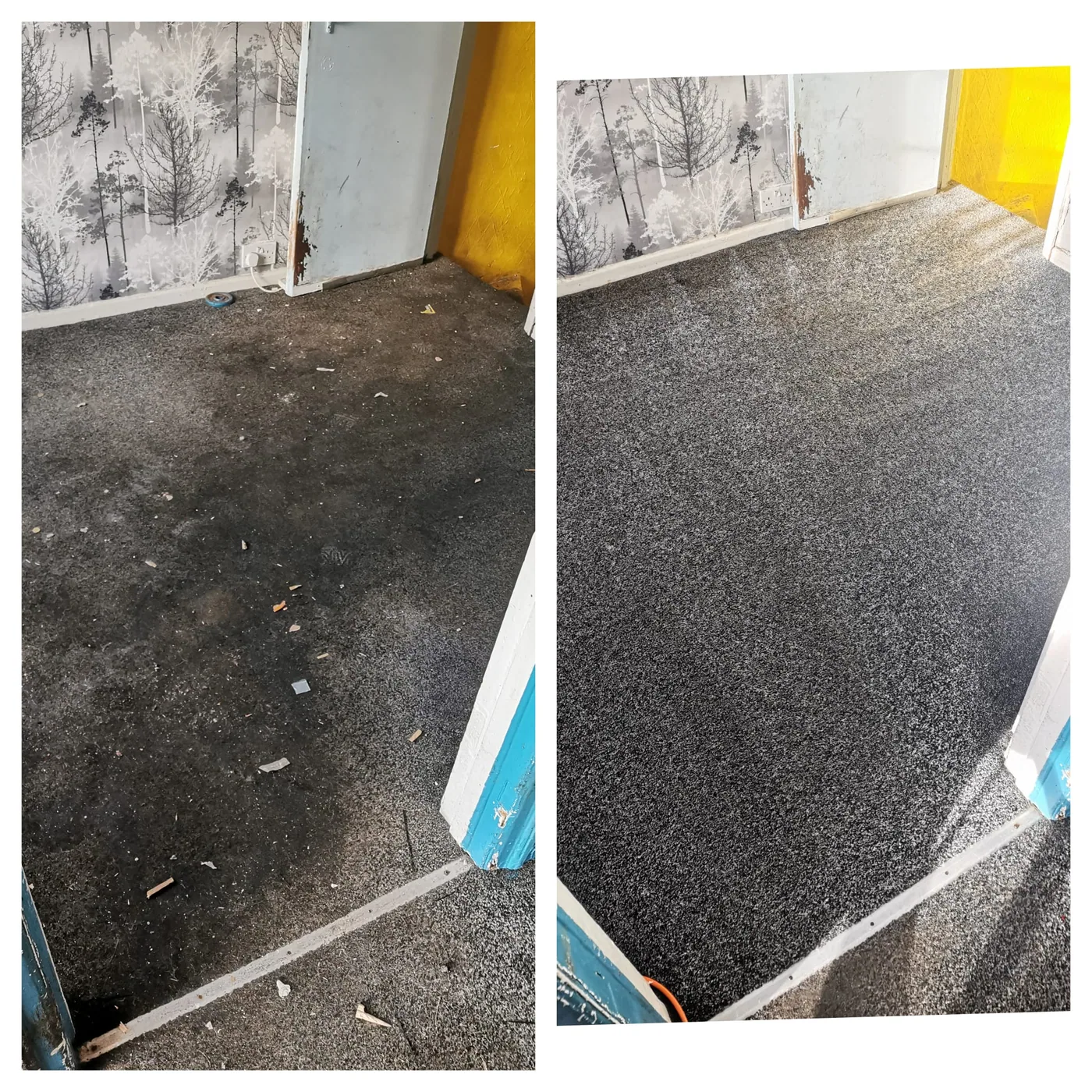 Room carpet transformation